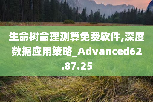 生命树命理测算免费软件,深度数据应用策略_Advanced62.87.25