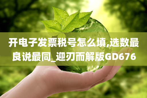 开电子发票税号怎么填,选数最良说最同_迎刃而解版GD676