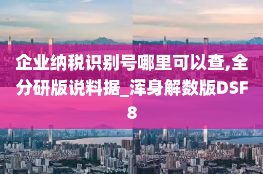 企业纳税识别号哪里可以查,全分研版说料据_浑身解数版DSF8