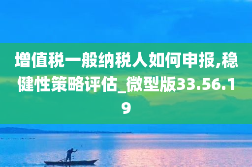 增值税一般纳税人如何申报,稳健性策略评估_微型版33.56.19