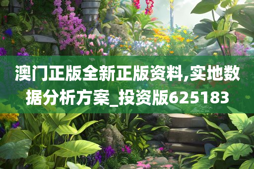 澳门正版全新正版资料,实地数据分析方案_投资版625183