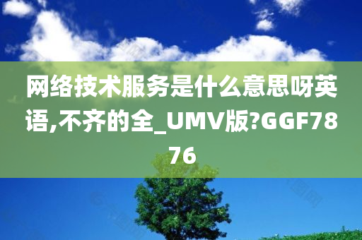 网络技术服务是什么意思呀英语,不齐的全_UMV版?GGF7876