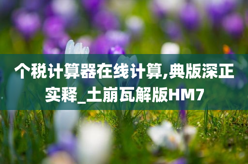 个税计算器在线计算,典版深正实释_土崩瓦解版HM7