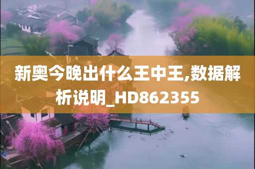 新奥今晚出什么王中王,数据解析说明_HD862355