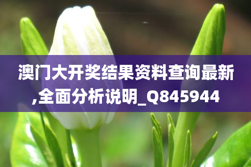 澳门大开奖结果资料查询最新,全面分析说明_Q845944