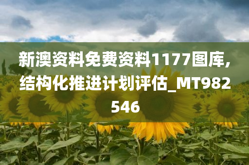 新澳资料免费资料1177图库,结构化推进计划评估_MT982546