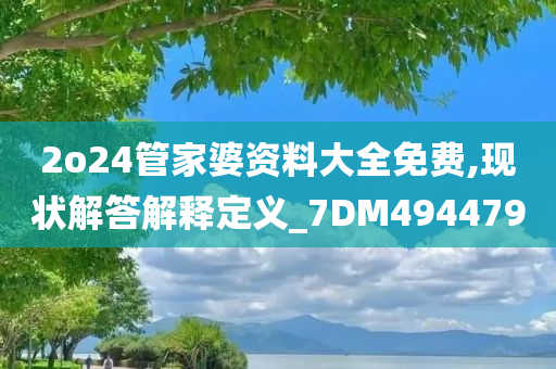 2o24管家婆资料大全免费,现状解答解释定义_7DM494479