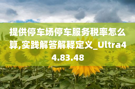 提供停车场停车服务税率怎么算,实践解答解释定义_Ultra44.83.48