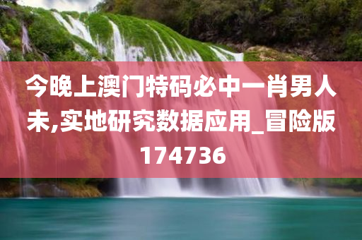 今晚上澳门特码必中一肖男人未,实地研究数据应用_冒险版174736