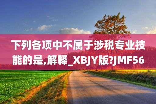 下列各项中不属于涉税专业技能的是,解释_XBJY版?JMF56