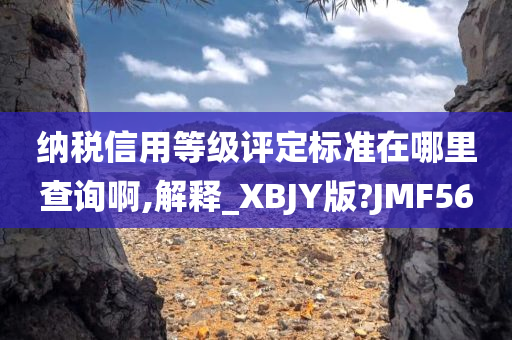 纳税信用等级评定标准在哪里查询啊,解释_XBJY版?JMF56