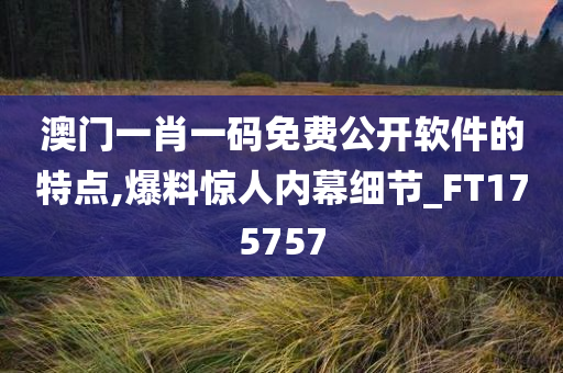 澳门一肖一码免费公开软件的特点,爆料惊人内幕细节_FT175757