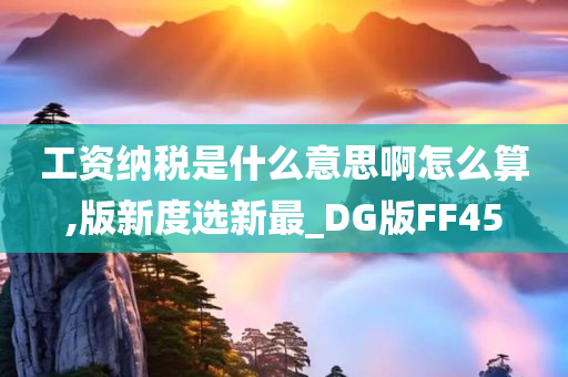 工资纳税是什么意思啊怎么算,版新度选新最_DG版FF45