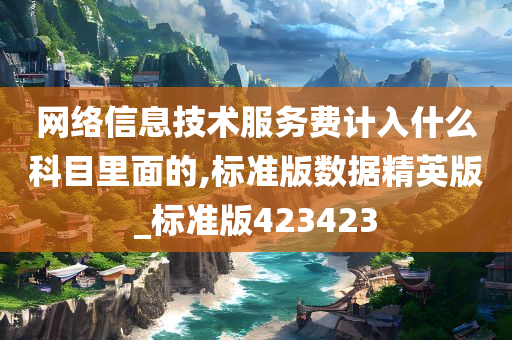 网络信息技术服务费计入什么科目里面的,标准版数据精英版_标准版423423