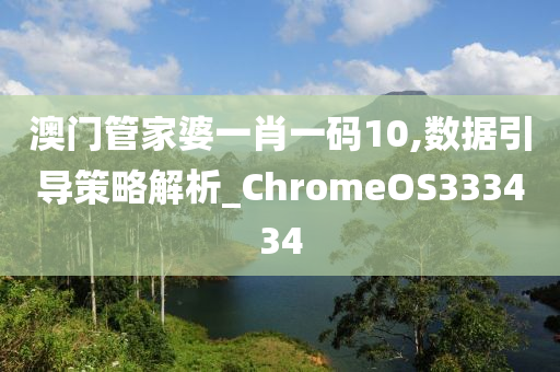 澳门管家婆一肖一码10,数据引导策略解析_ChromeOS333434