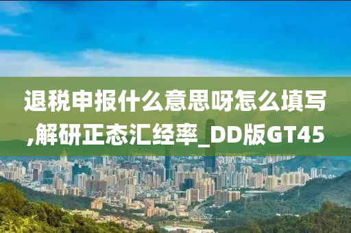 退税申报什么意思呀怎么填写,解研正态汇经率_DD版GT45