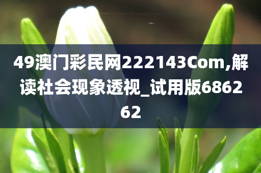 49澳门彩民网222143Com,解读社会现象透视_试用版686262