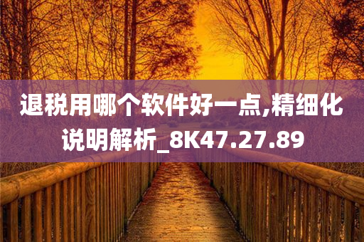 退税用哪个软件好一点,精细化说明解析_8K47.27.89