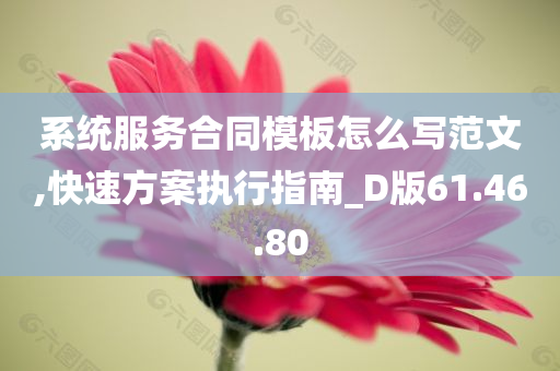 系统服务合同模板怎么写范文,快速方案执行指南_D版61.46.80