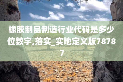 橡胶制品制造行业代码是多少位数字,落实_实地定义版78787