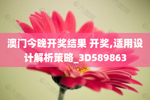 澳门今晚开奖结果 开奖,适用设计解析策略_3D589863