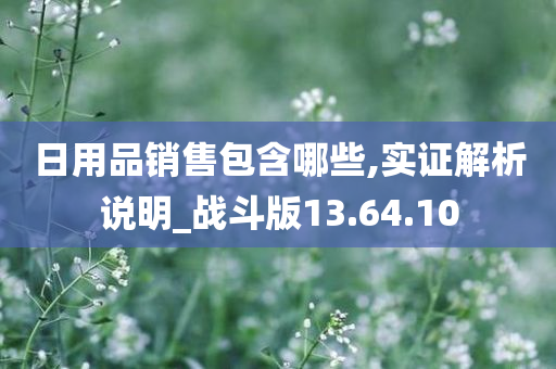 日用品销售包含哪些,实证解析说明_战斗版13.64.10