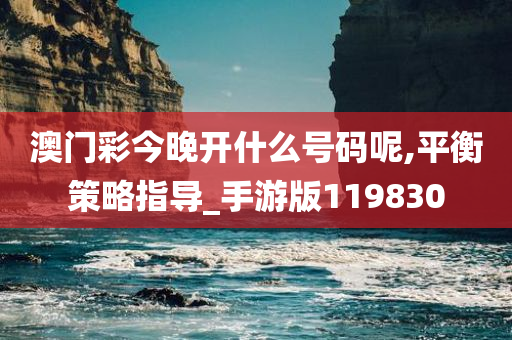 澳门彩今晚开什么号码呢,平衡策略指导_手游版119830