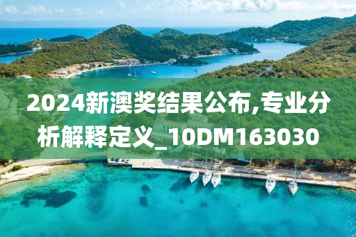 2024新澳奖结果公布,专业分析解释定义_10DM163030