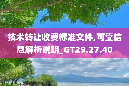 技术转让收费标准文件,可靠信息解析说明_GT29.27.40