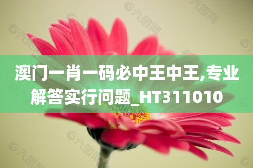 澳门一肖一码必中王中王,专业解答实行问题_HT311010