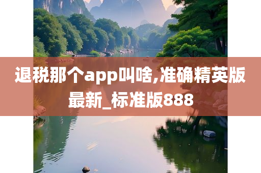 退税那个app叫啥,准确精英版最新_标准版888