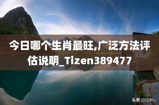 今日哪个生肖最旺,广泛方法评估说明_Tizen389477