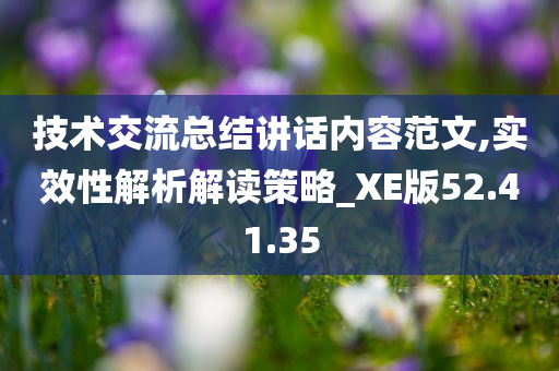 技术交流总结讲话内容范文,实效性解析解读策略_XE版52.41.35