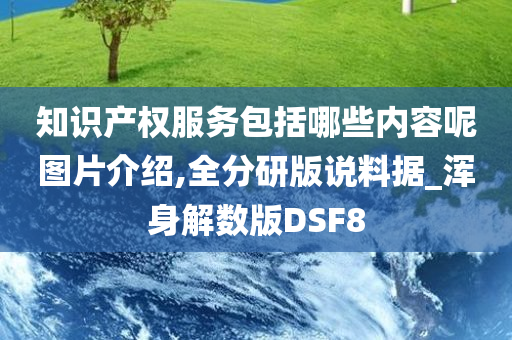 知识产权服务包括哪些内容呢图片介绍,全分研版说料据_浑身解数版DSF8