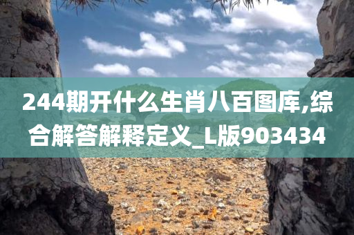 244期开什么生肖八百图库,综合解答解释定义_L版903434