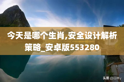 今天是哪个生肖,安全设计解析策略_安卓版553280