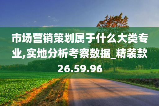 市场营销策划属于什么大类专业,实地分析考察数据_精装款26.59.96