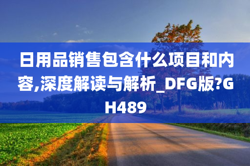 日用品销售包含什么项目和内容,深度解读与解析_DFG版?GH489