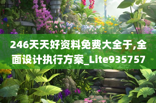 246天天好资料免费大全于,全面设计执行方案_Lite935757