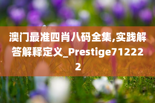 澳门最准四肖八码全集,实践解答解释定义_Prestige712222