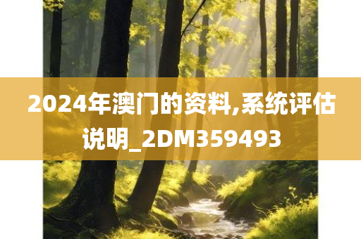 2024年澳门的资料,系统评估说明_2DM359493