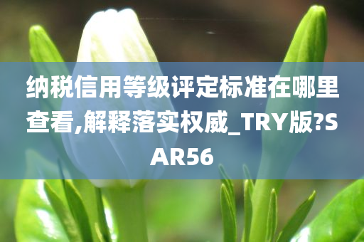 纳税信用等级评定标准在哪里查看,解释落实权威_TRY版?SAR56