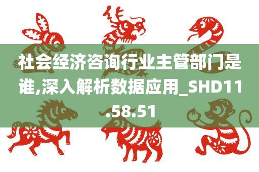 社会经济咨询行业主管部门是谁,深入解析数据应用_SHD11.58.51