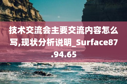 技术交流会主要交流内容怎么写,现状分析说明_Surface87.94.65