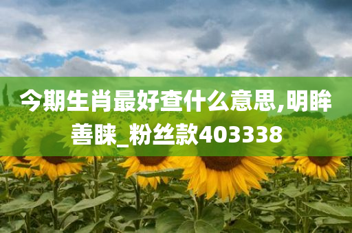 今期生肖最好查什么意思,明眸善睐_粉丝款403338