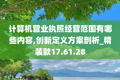 计算机营业执照经营范围有哪些内容,创新定义方案剖析_精装款17.61.28