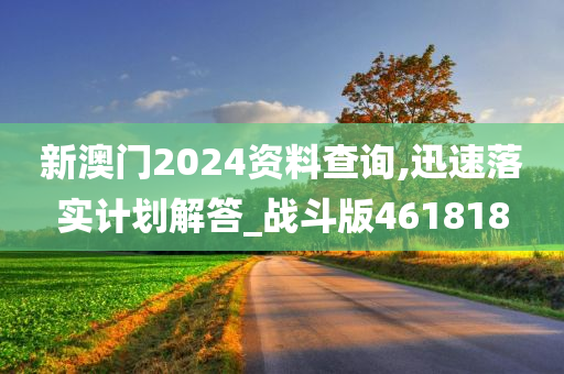 新澳门2024资料查询,迅速落实计划解答_战斗版461818