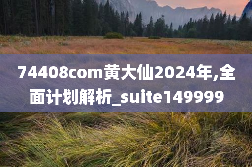 74408com黄大仙2024年,全面计划解析_suite149999