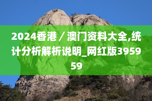 2024香港／澳门资料大全,统计分析解析说明_网红版395959