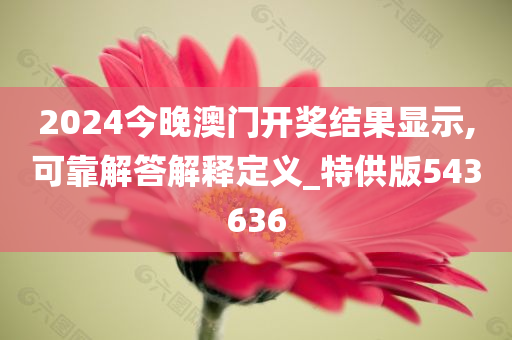 2024今晚澳门开奖结果显示,可靠解答解释定义_特供版543636